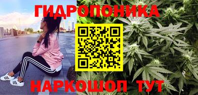 ешки Бердск