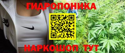 ешки Бердск